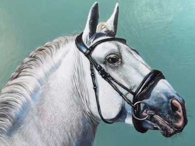 horse portrait from photo