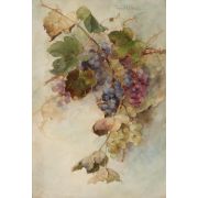 A Vine of Grapes
