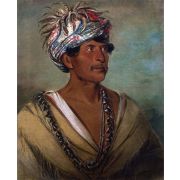 Tuch-ee, A Celebrated War Chief of the Cherokees
