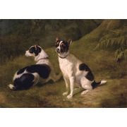 Two Terriers in a Landscape