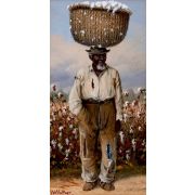 A Cotton Picker