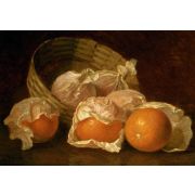 A Basket of Oranges