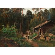 Cottage in the forest