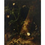 A Forest Floor Still Life with a Salamander, Snake and Various Butterflies around a Thistle