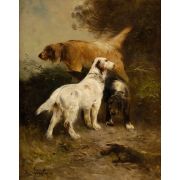 Hunting Dogs