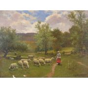 Maid Feeding Sheep in Pasture