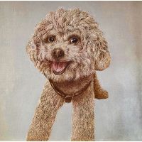 Brown Poodle Scratching Board Portrait