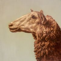 Brown Sheep Scratching Board Portrait