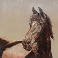 Seal Brown Horse Scratching Board Portrait