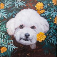 Cavachon Dog in Flowers Portrait