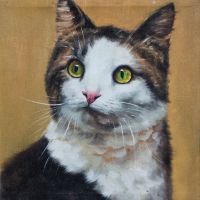 Calico Cat Portrait