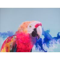 Pink Macaw Parrot Portrait