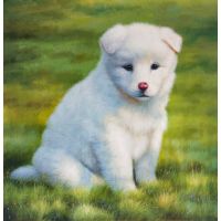 Japanese Spitz in Grass Portrait