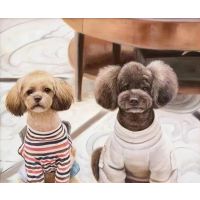 Two Fashionable Toy Poodles