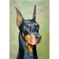 Doberman Pinscher with Green Background